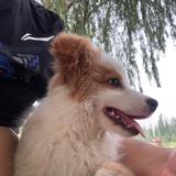 真花生仁儿头像