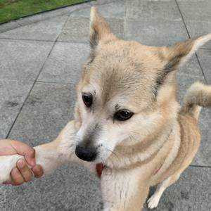 4年7班东东头像