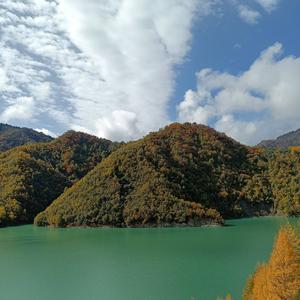 hello峰哥头像