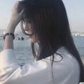 鹤归何晚头像