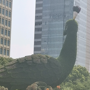 山暮雪头像