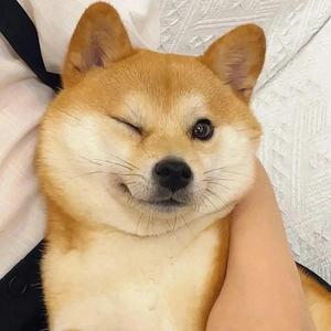 搞怪亲兄弟头像