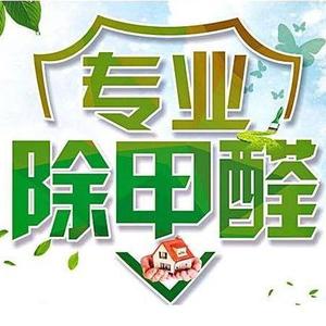 甲醛治理专家头像