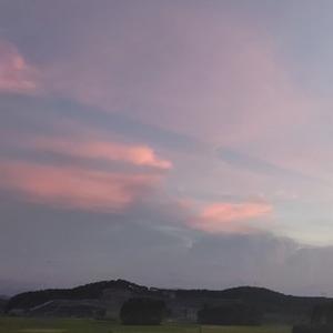 徐美丽头像