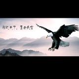 一往无前的雄鹰头像