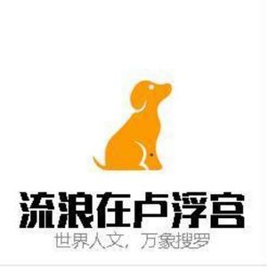 流浪在卢浮宫头像