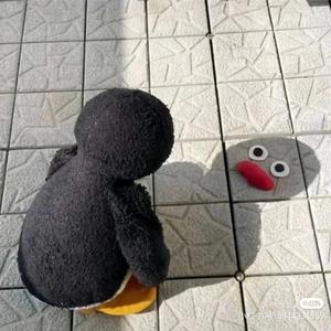 寒冬孤望头像