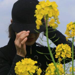 红姐的旅行视界头像
