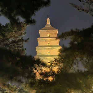 博索艺术头像