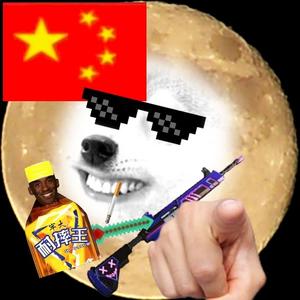 狗王君一反营销号敌人轩青衣我是小兔罗头像