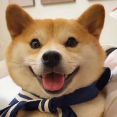小百科纪录片头像