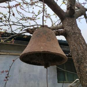 孤月冷心头像