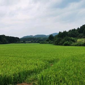 极客固原5L0头像