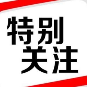 北平江哥头像