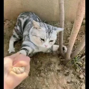 今晚不回家头像
