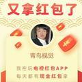 青鸟视觉1头像