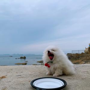 在泰国的小范儿头像