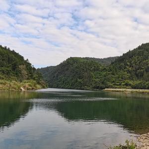 杨老师谈教育头像