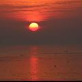 海纳百川4261636242463头像