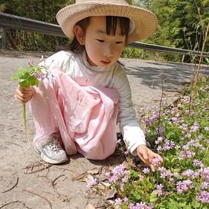 纯天然降血糖茶头像