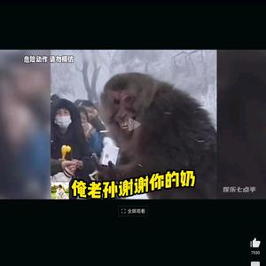 勇者玉林1i0头像