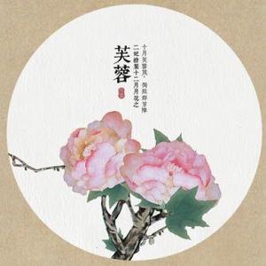 十月芙蓉显小阳头像