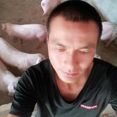 李老伍0U9n头像