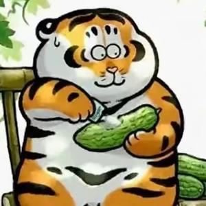 胖虎头像