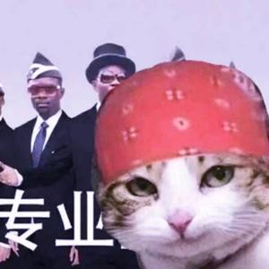 呼吸不是很正常头像