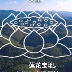 靖歌头像