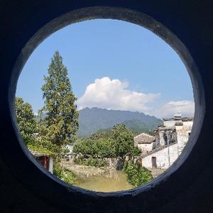 流星小雨lbgb头像