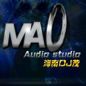 海南DJ茂头像