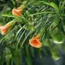 柳州城南布衣头像