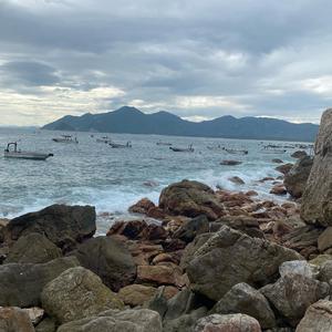 听海声音头像