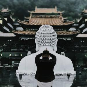 二蛋影视8k头像