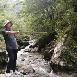 秦人秦观头像