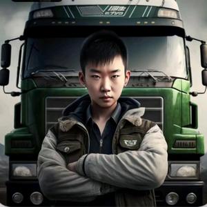 司机仔仔辉头像