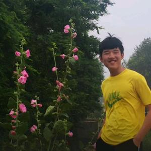 农村老头闲聊天头像