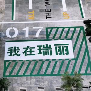 胖胖手机摄影头像