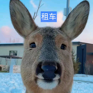 長江¹⁹⁸⁶头像