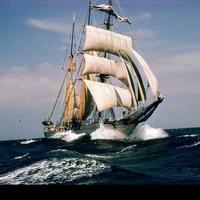 智慧艺术家8PE头像