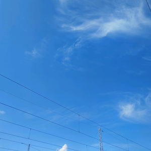 向日葵经络日记头像