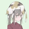 新声速递头像