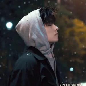 倒霉的砖头像