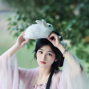 阿里贝贝头像