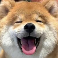 牛牛搞笑视频头像