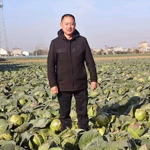 新君剪辑头像