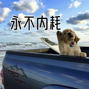 内耗青年的治愈文案头像