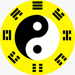 毛哥风水局头像