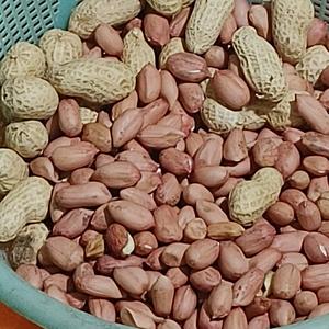 荆棘头像